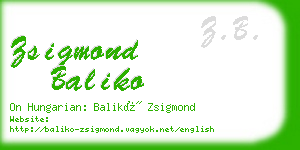 zsigmond baliko business card